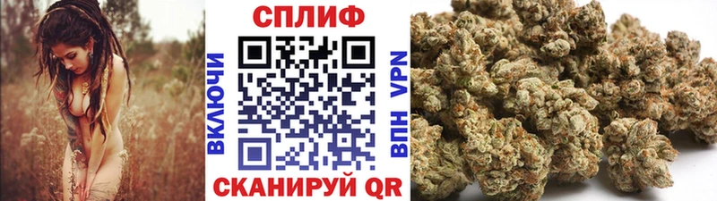 Бошки Шишки тримм  купить   Сураж 